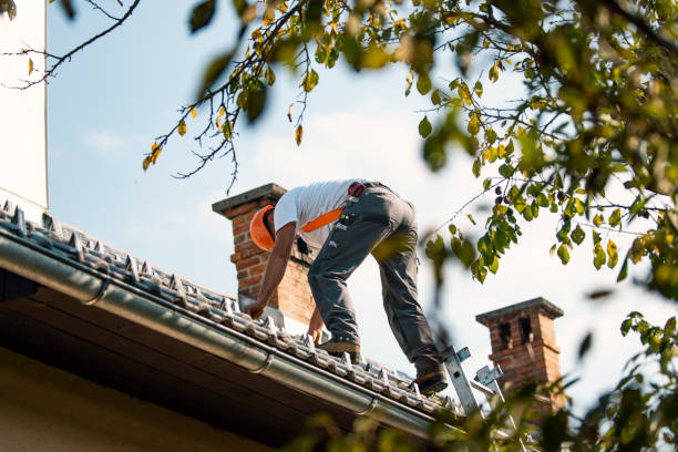 Best Commercial Roofing Services  in Everson, WA