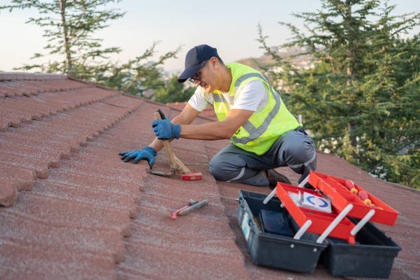 Best Commercial Roof Installation  in Everson, WA